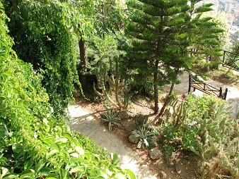 CIKCILLI ALANYA