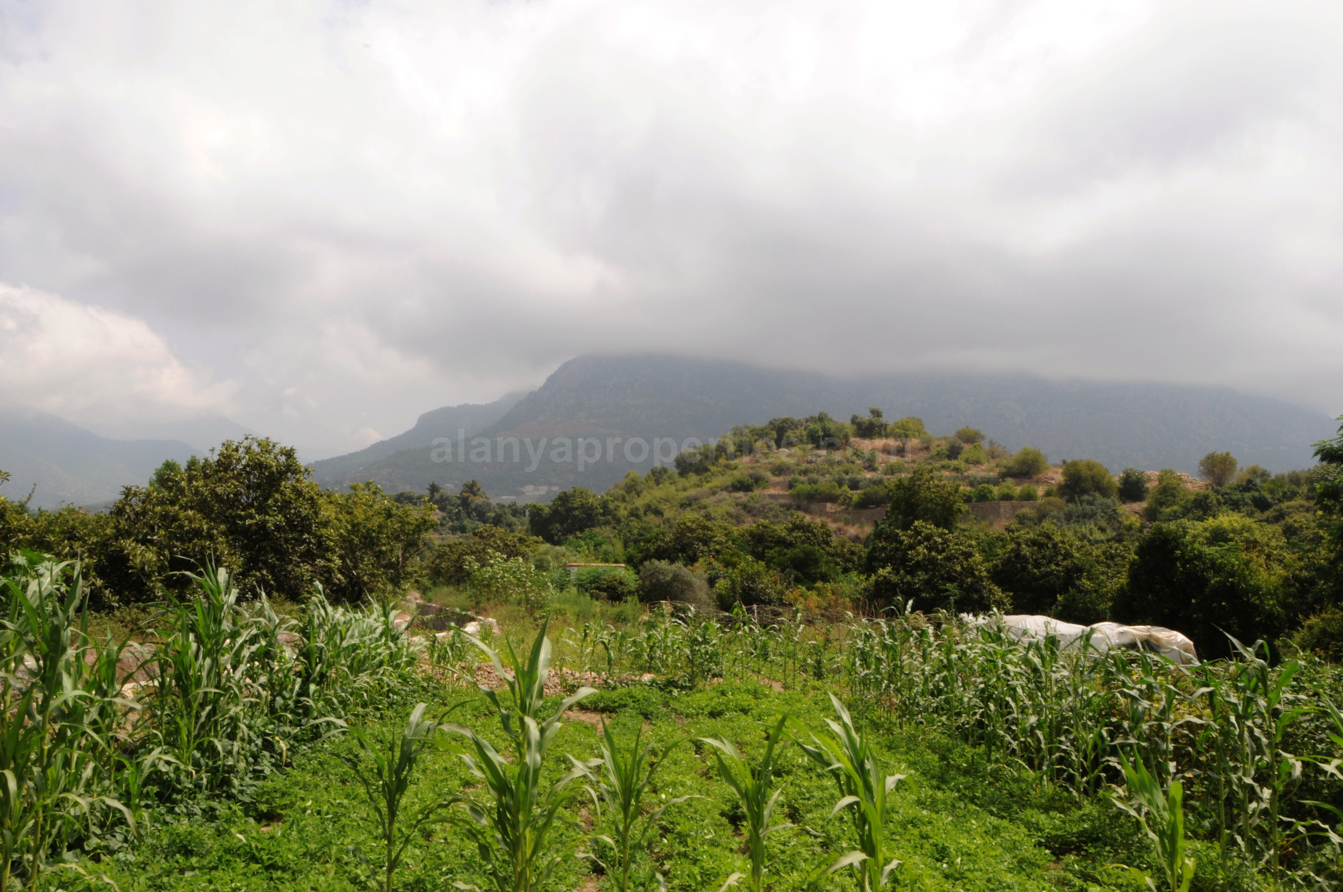 Picture from Kestel nature and Taurus Mountains Picture from Kestel, Alanya, Turkey