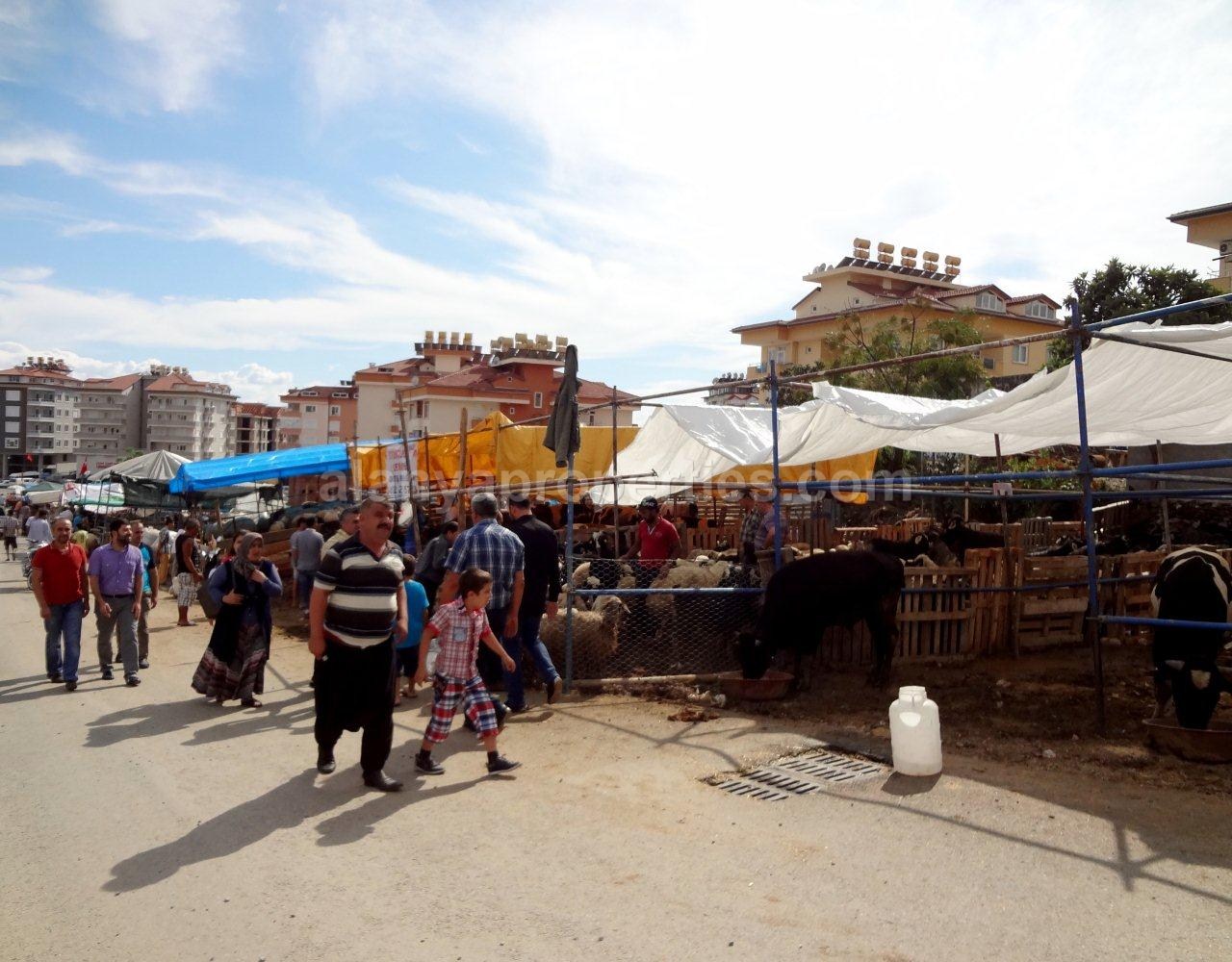 The Sacrifice Feast - Kurban Bayrami 2014 The Sacrifice Feast - Kurban Bayrami 2014