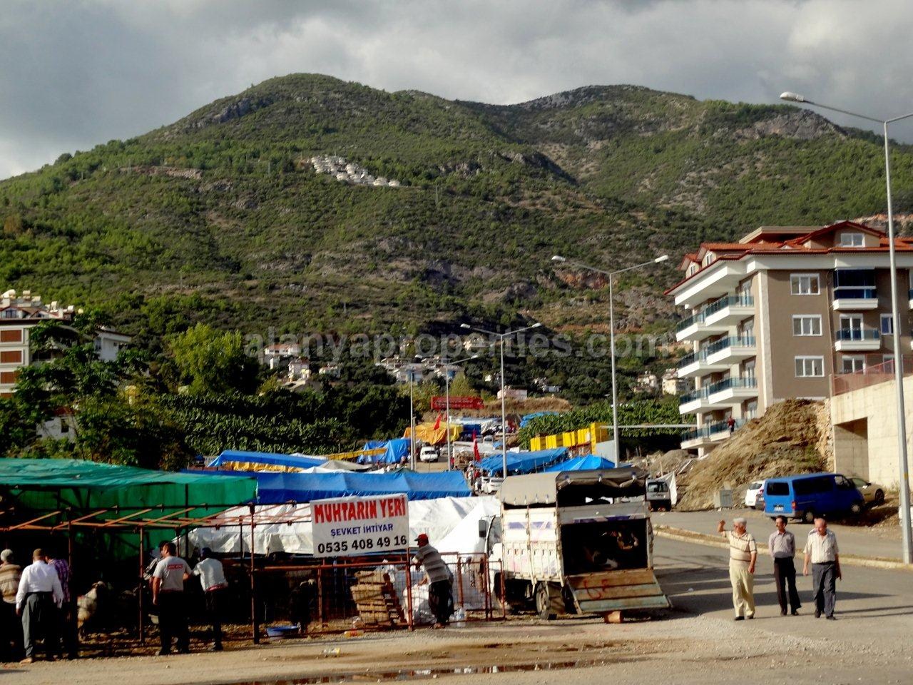 The Sacrifice Feast - Kurban Bayrami 2014 The Sacrifice Feast - Kurban Bayrami 2014