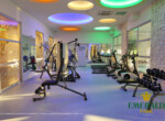 Emerald Park Spa and Gym (11)