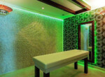 Fully Furnished Luxury villa in Kargicak Alanya (10)